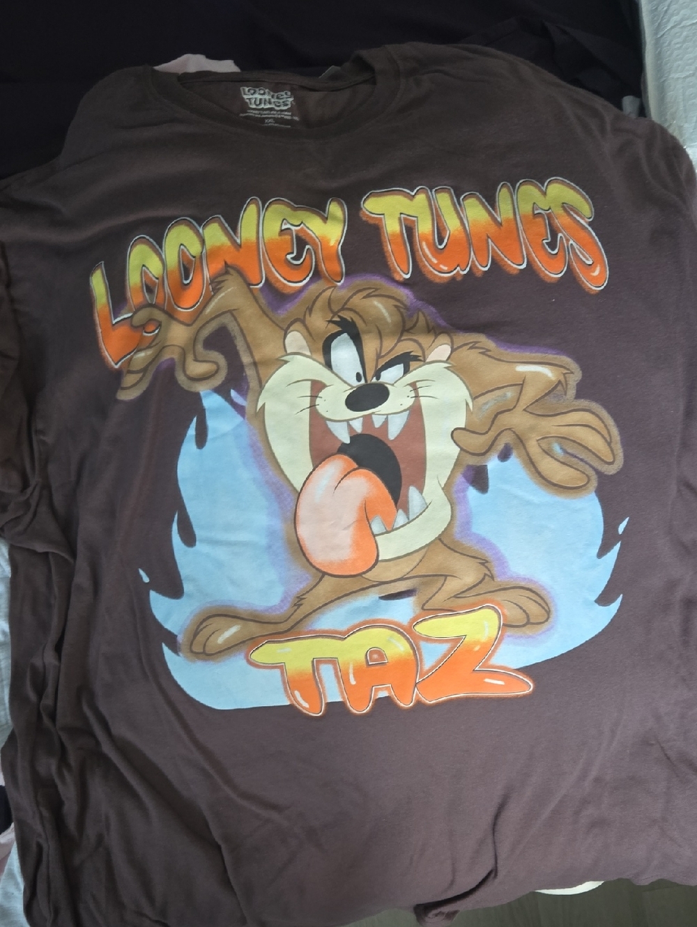 Looney Tunes Taz Kids Graphic Tee - Brown